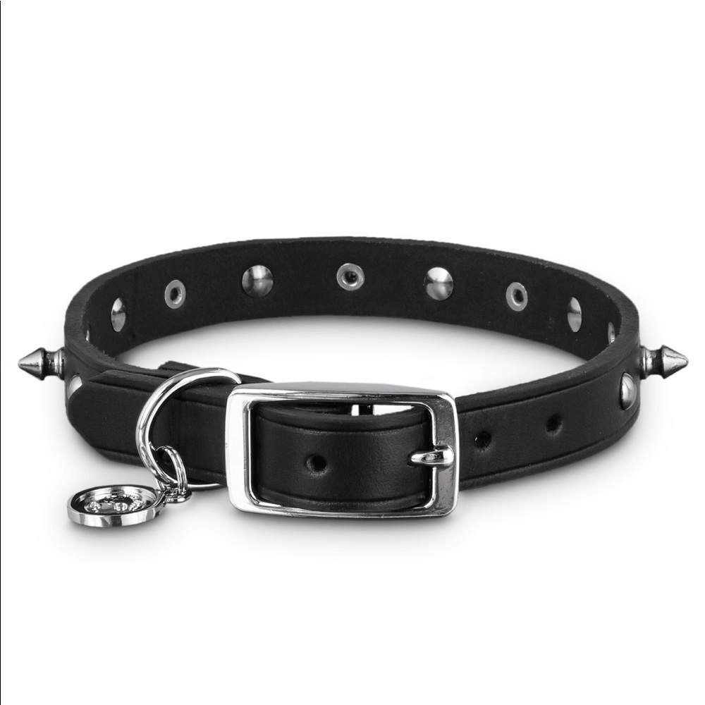 Bond & Co Black Leather Spike Dog Collar, Large